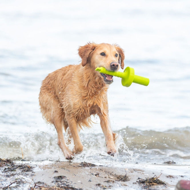 Trixie Aqua Toy MOT®-Aqua