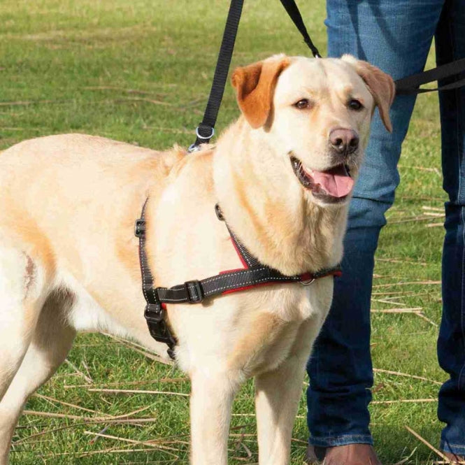 Trixie Trainingsgeschirr Lead'n'Walk Soft - M-L