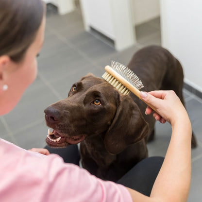 Trixie beidseitige Bürste aus Bambus - 6 x 22 cm