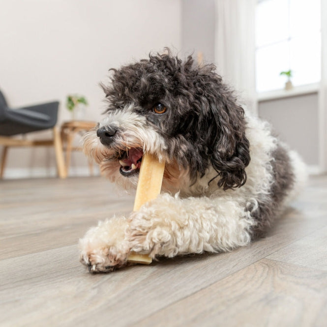 Trixie Kaukäse - 70 g