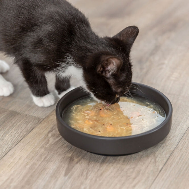 Trixie Kittis Shrimp Soup - 4 × 80 g