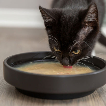 Trixie Kittis Shrimp Soup - 4 × 80 g