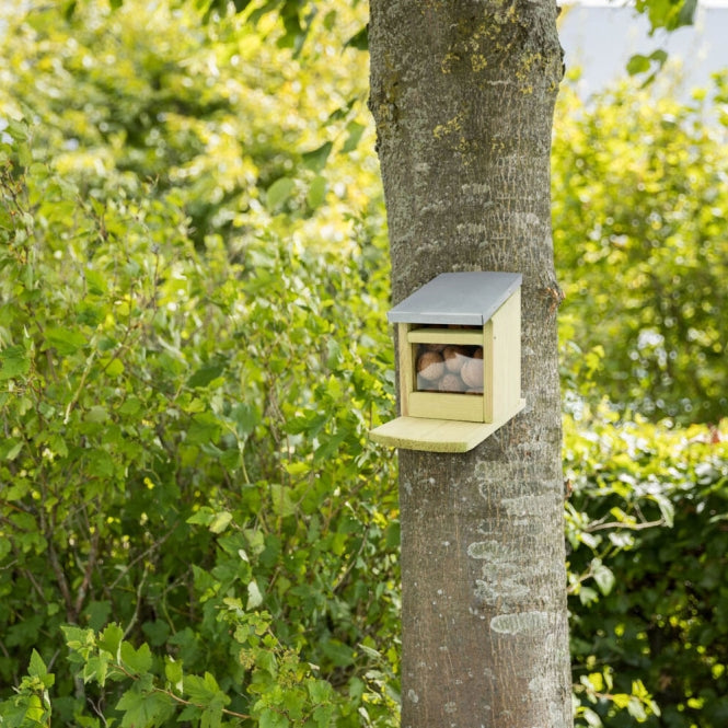Trixie Futterstation für Eichhörnchen